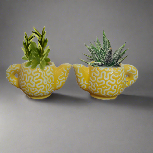 Teapot planters (set of2)