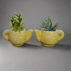Teapot planters (set of2)