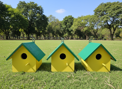 Birdhouse Colourful