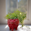 Elephant planter