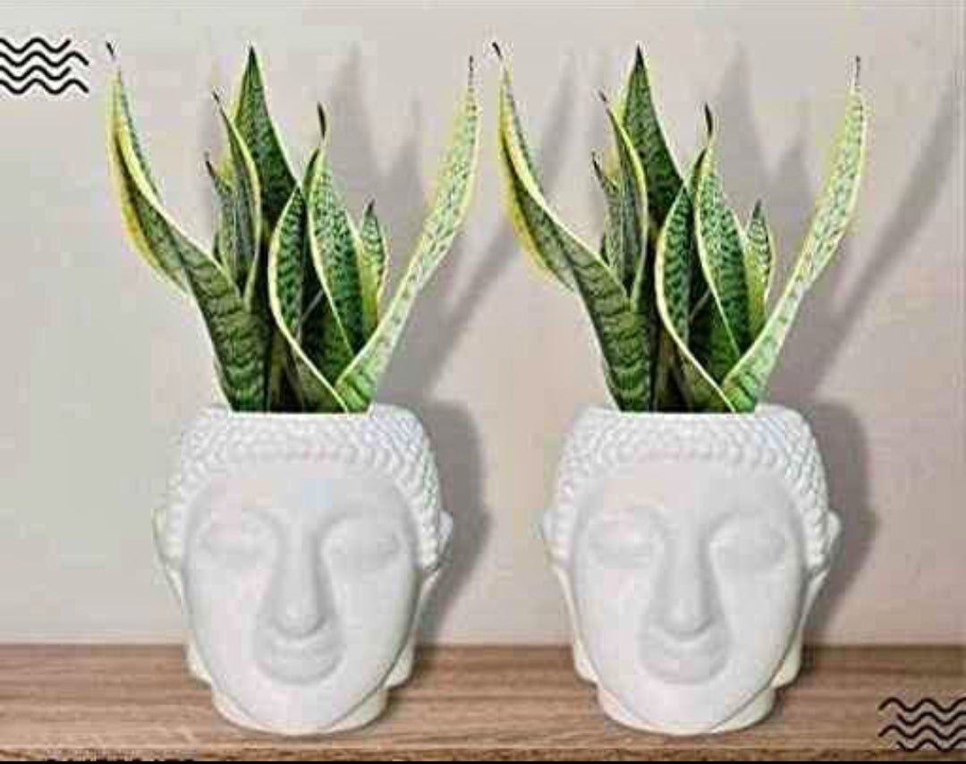 Buddha planter