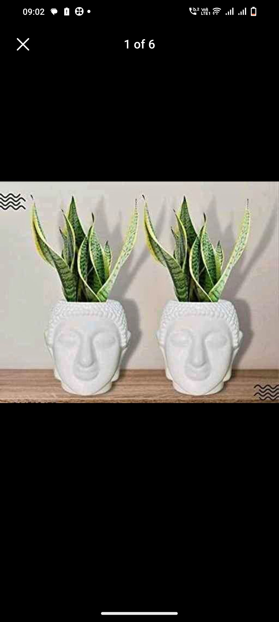 Buddha planter