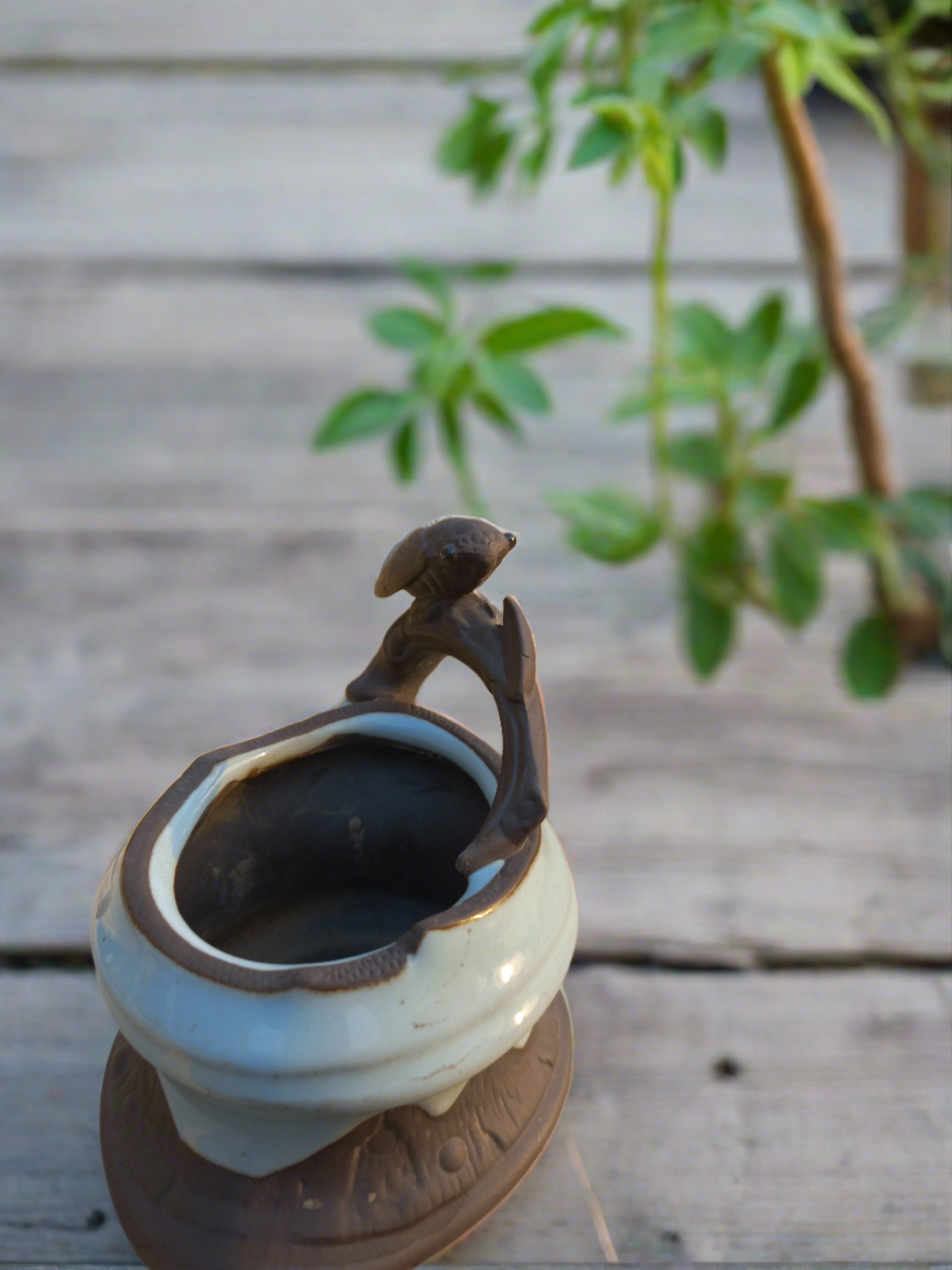 Dragonfly on pot