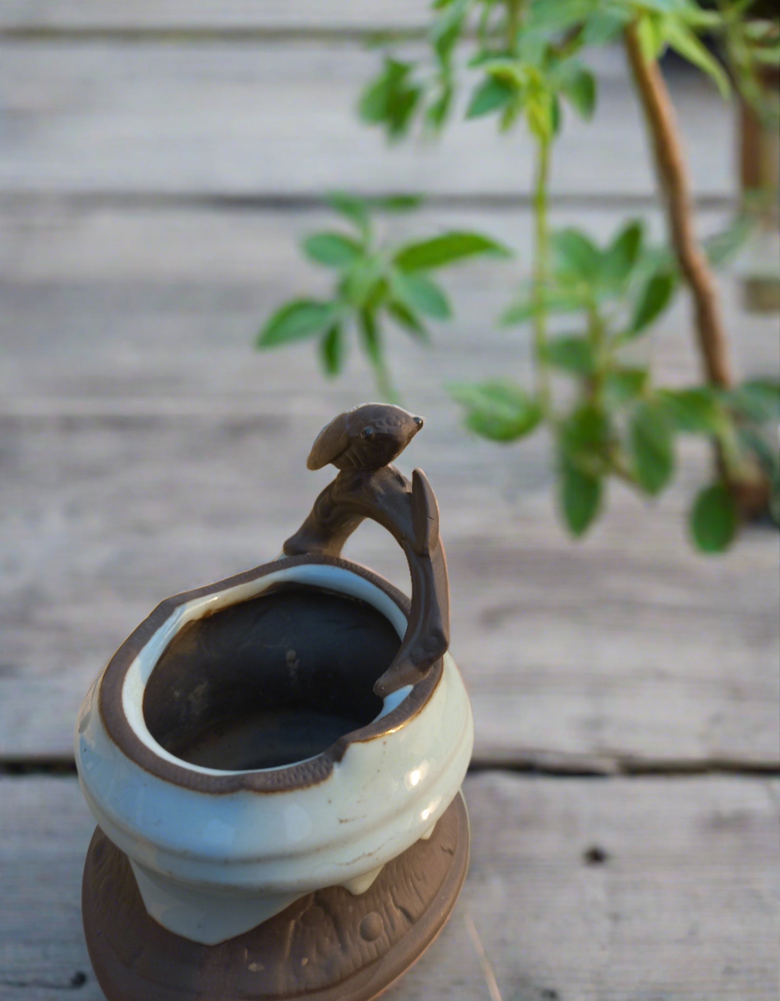 Dragonfly on pot