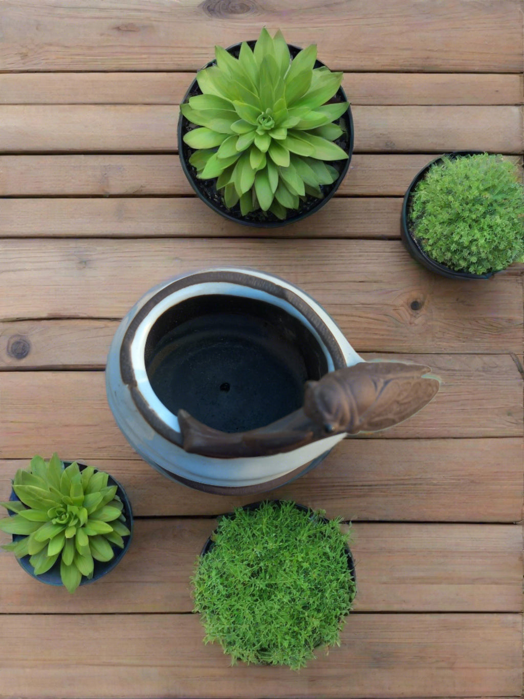 Dragonfly on pot