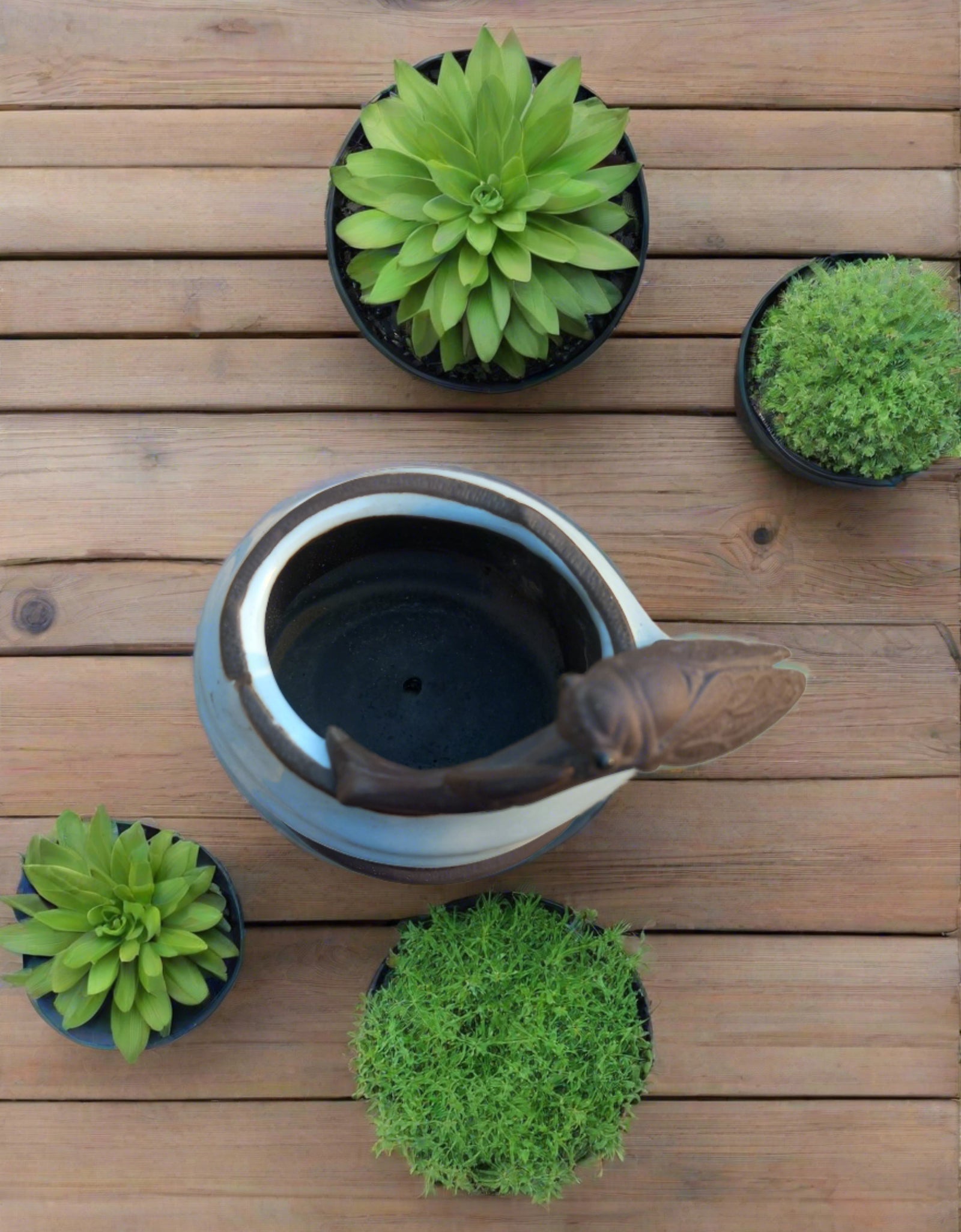 Dragonfly on pot