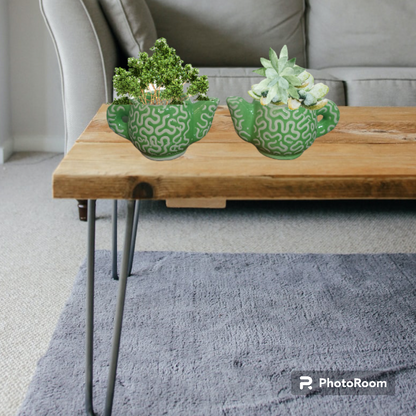 Teapot planters (set of2)