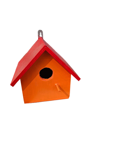 Birdhouse Colourful