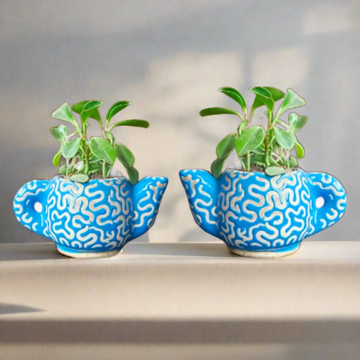 Teapot planters (set of2)