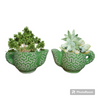 Teapot planters (set of2)