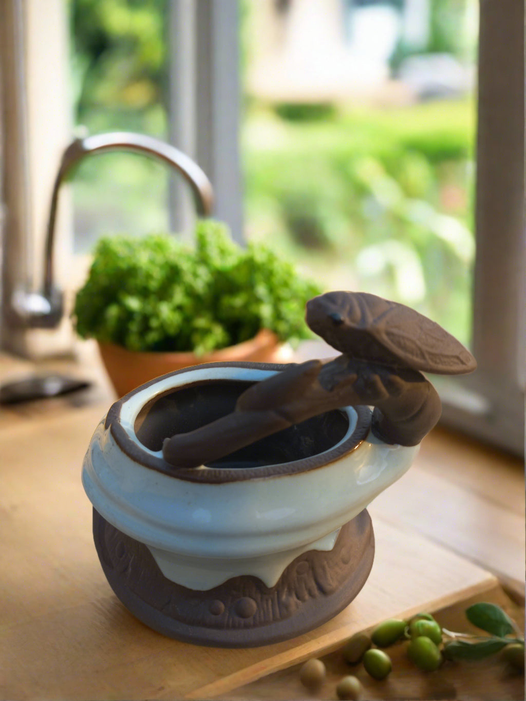 Dragonfly on pot