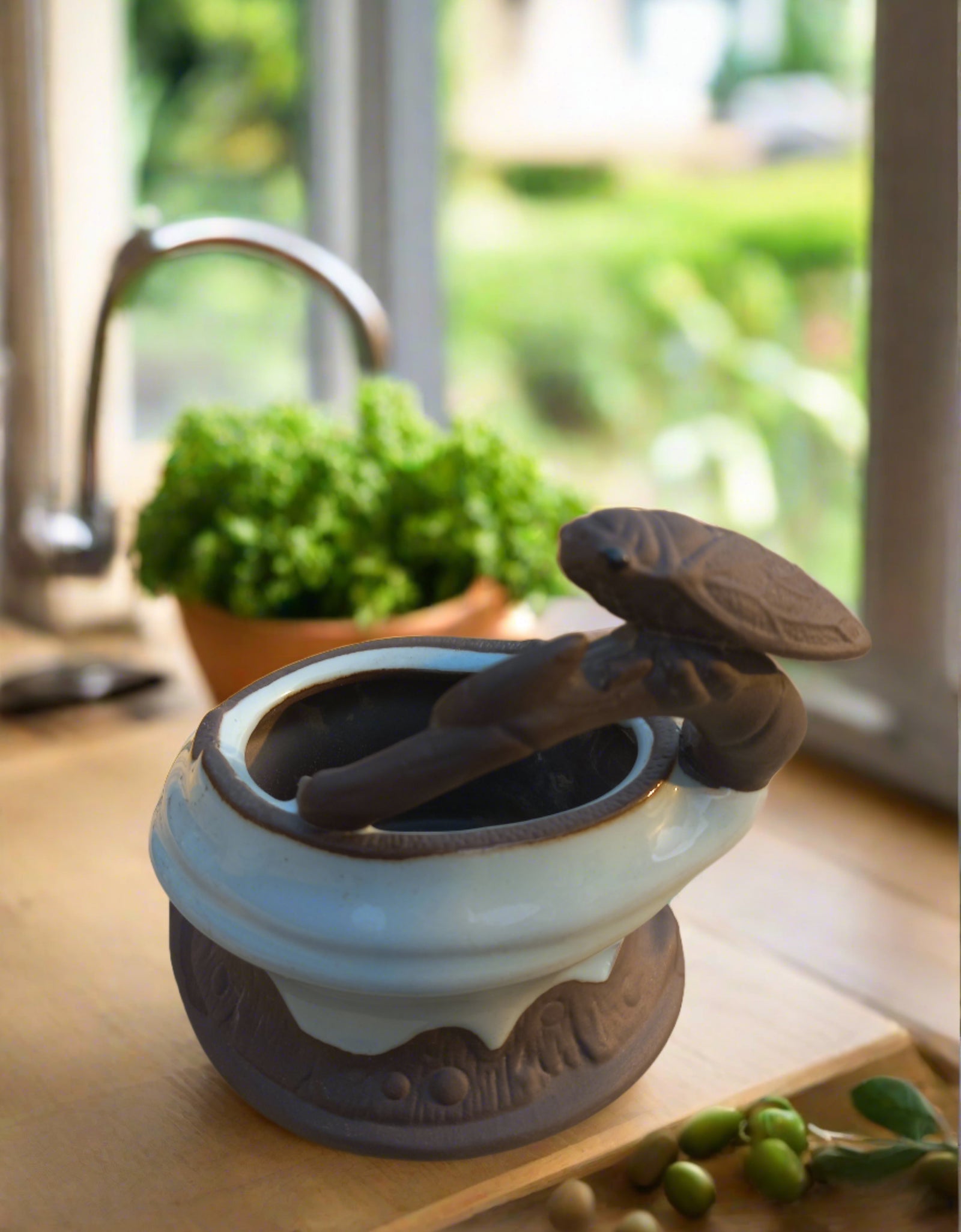 Dragonfly on pot