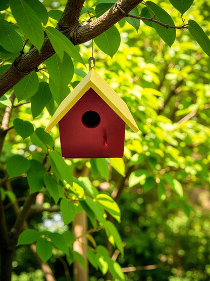 Birdhouse Colourful