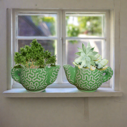Teapot planters (set of2)