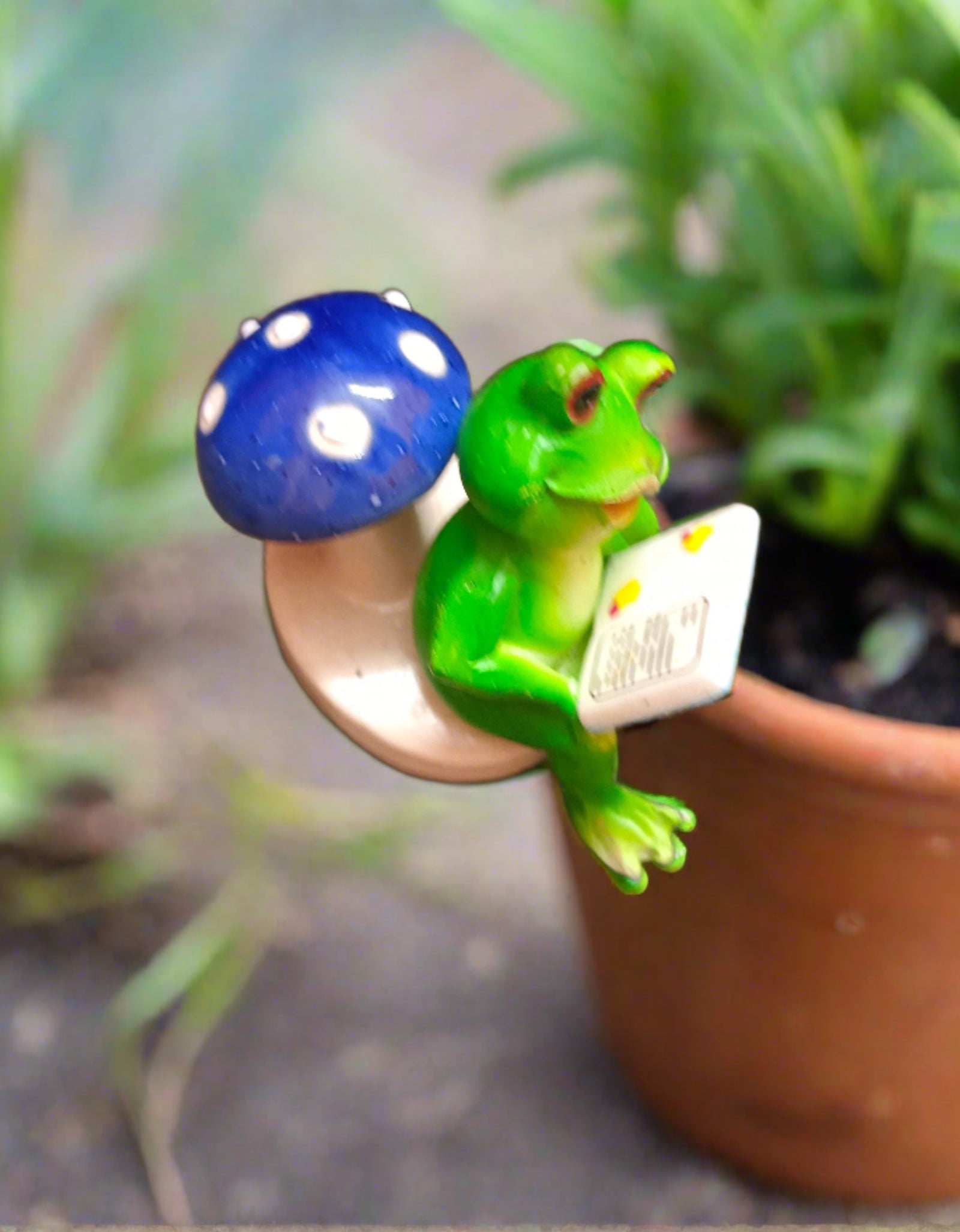 Mini frogs (set of 2)