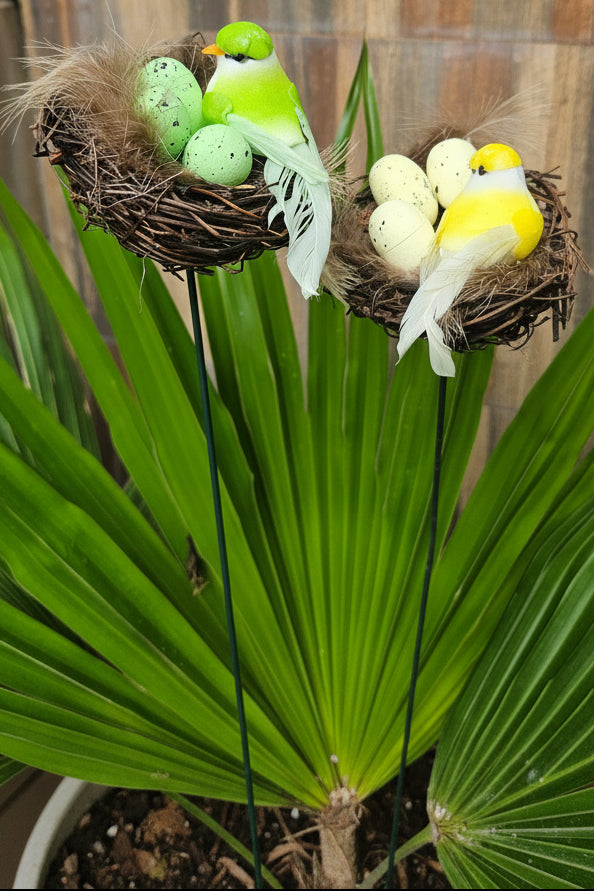 Two hanging bird nests with small birds and eggs, photographed outdoors against a wooden wall and green palm leaves.