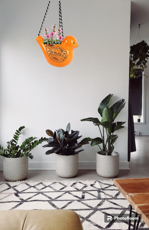 Hanging Bird Planter