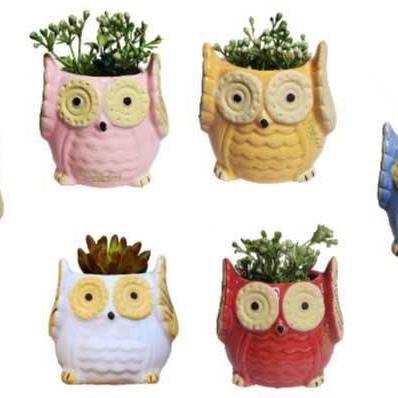 The Wise Owl Planter(Setof 2)