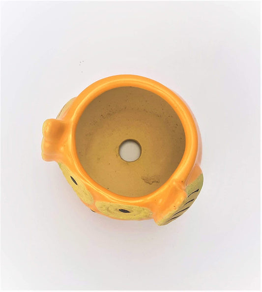 The Wise Owl Planter(Setof 2)