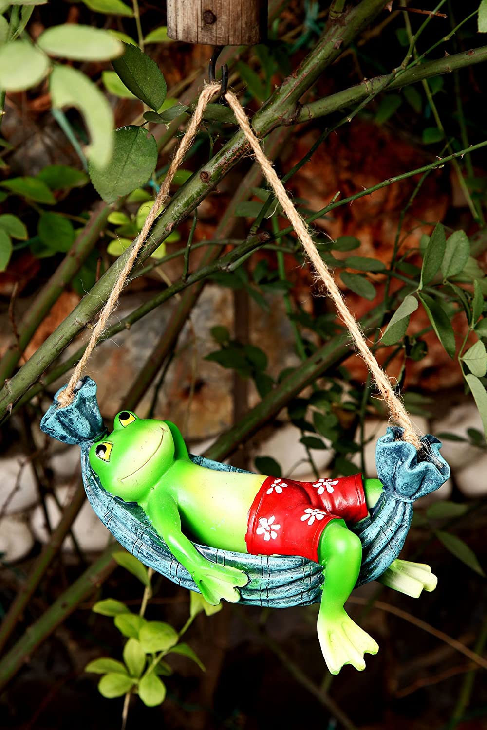 Funky Frog on swing