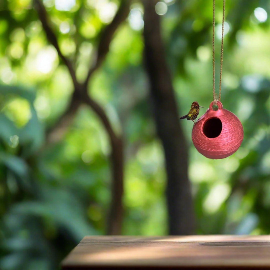 Bird feeder with Sparrow