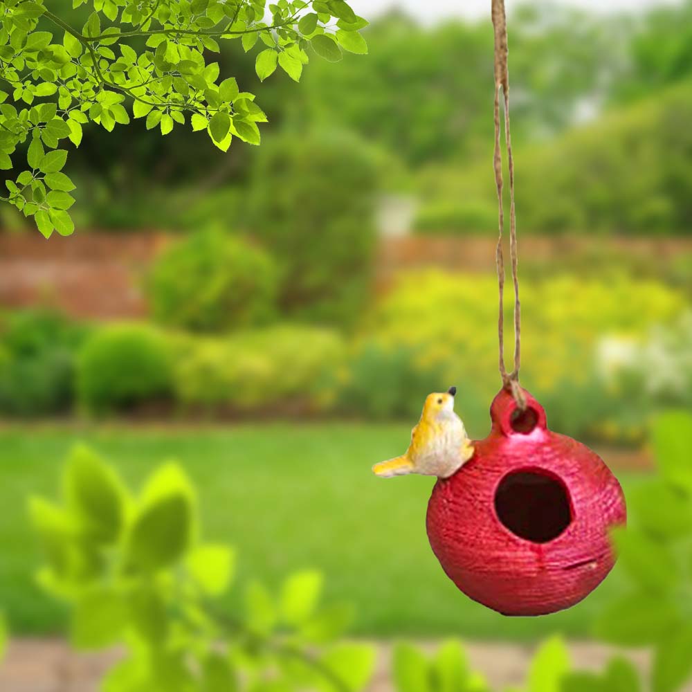 Bird feeder with Sparrow