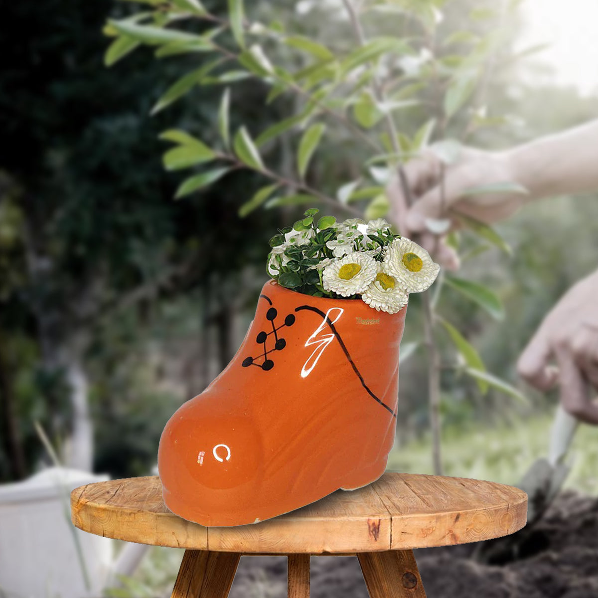 Lucky Shoe planter