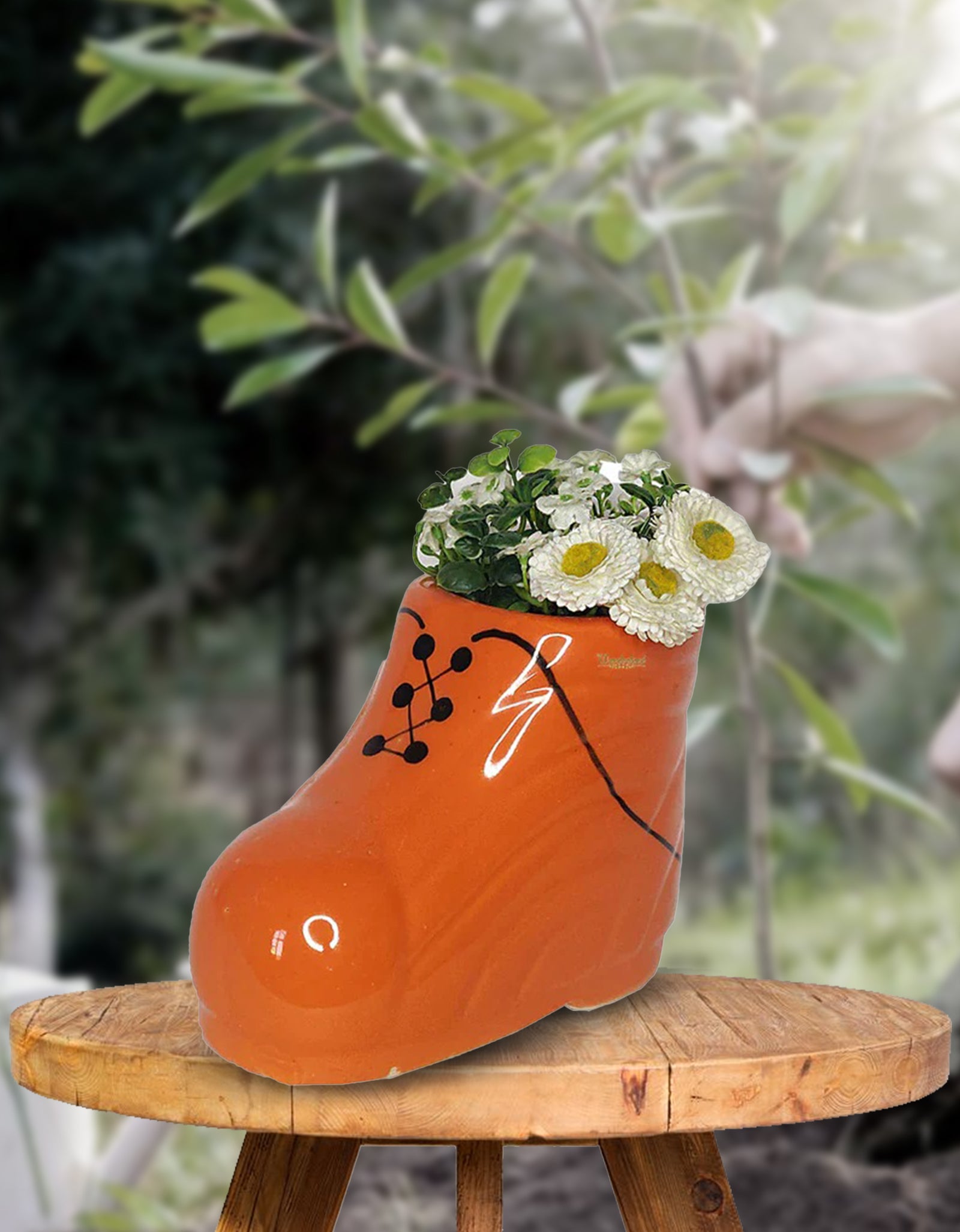 Lucky Shoe planter