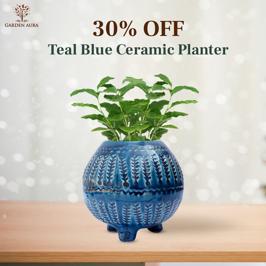 Teal Blue Ceramic planter