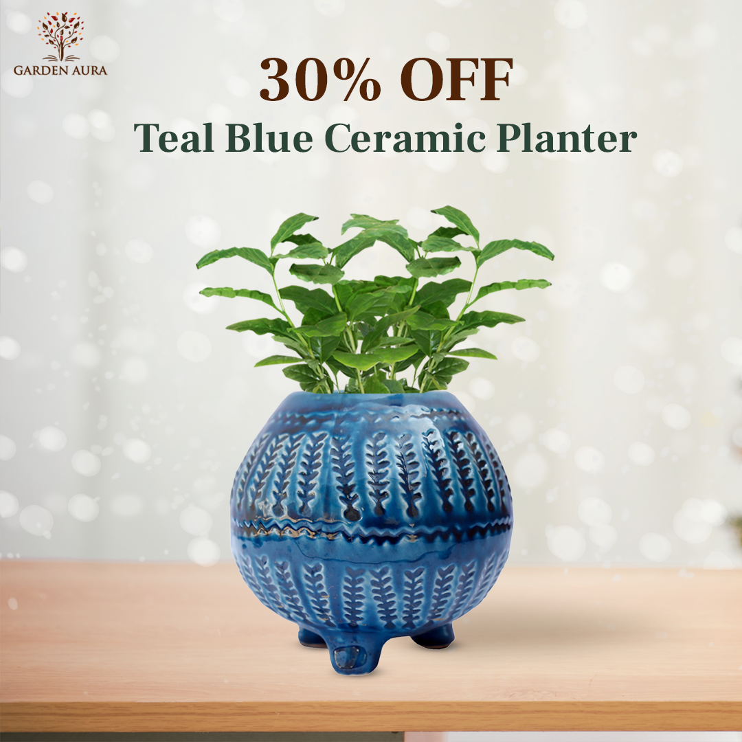 Teal Blue Ceramic planter