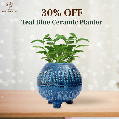 Teal Blue Ceramic planter