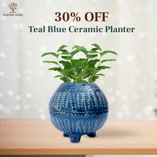 Teal Blue Ceramic planter