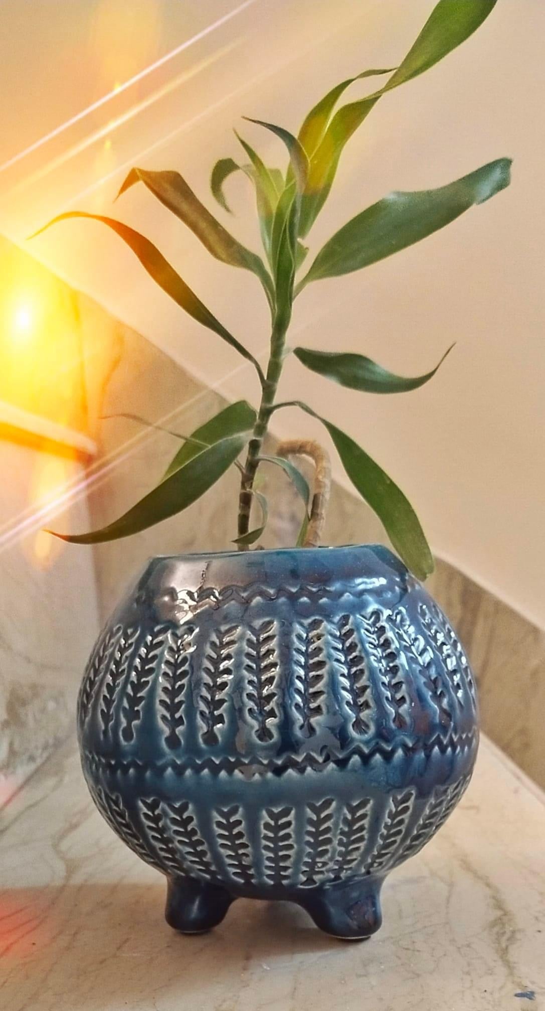 Teal Blue Ceramic planter
