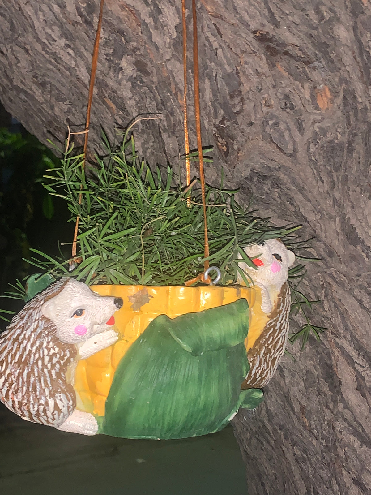 Hedgehoge Twins on corn