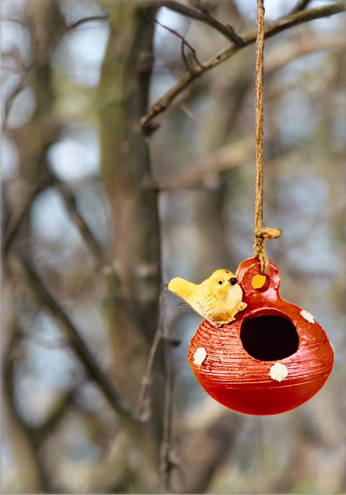 Material - Terracotta with Resin bird; Can be hung outdoors as the color will not fade by rain or sunlight Hand Painted and Hand Crafted. <br><br>Colour of bird on availability; Yellow;Pink; Purple;Orange