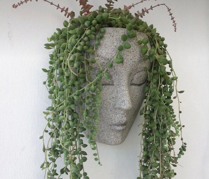 Face planter