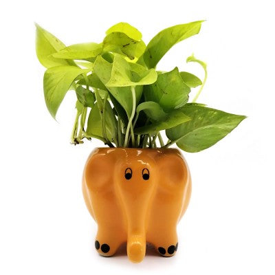Elephant planter