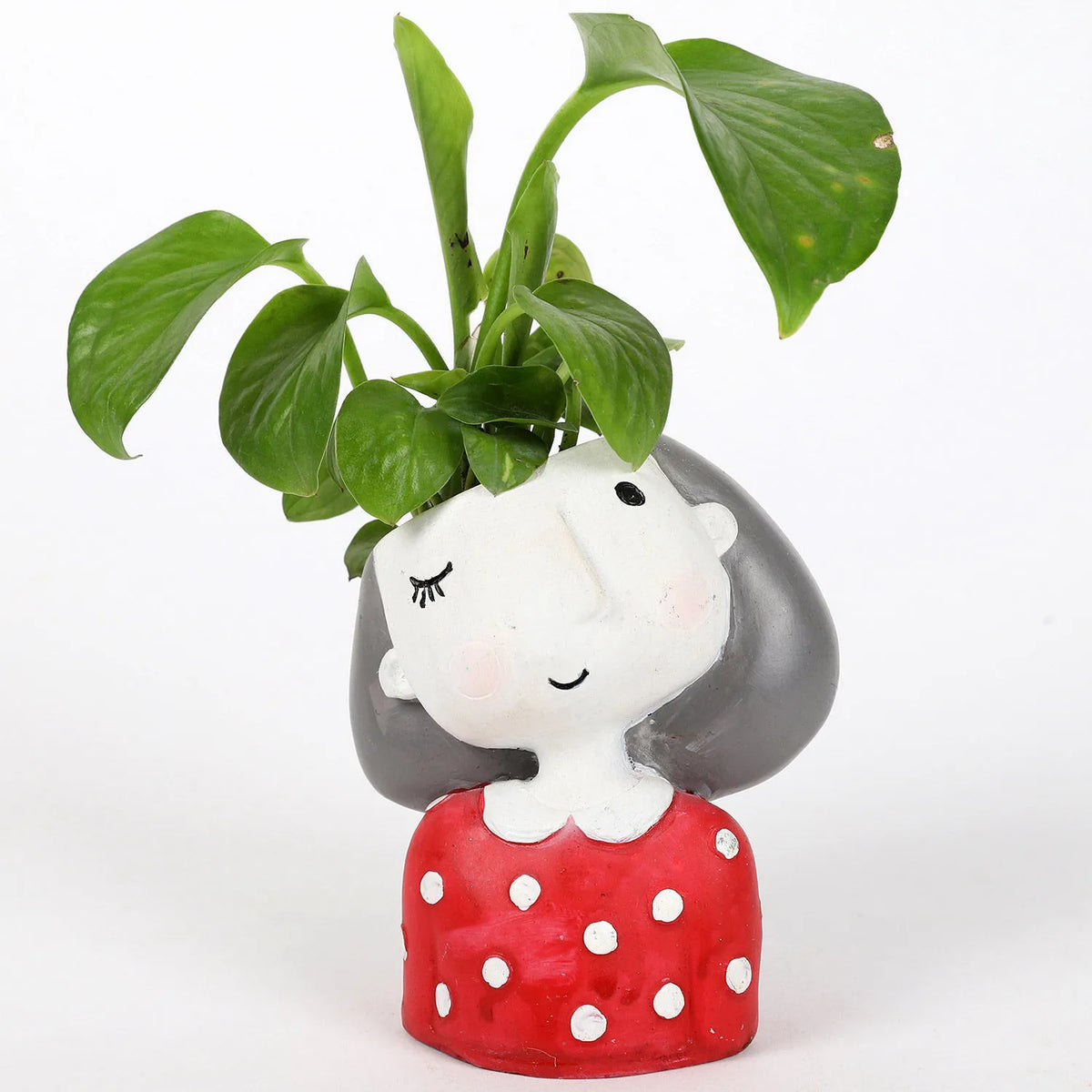 Lover planters - Valentine Gift - Best Idea