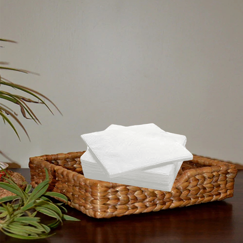 Tissue holder in Jute with Tassels